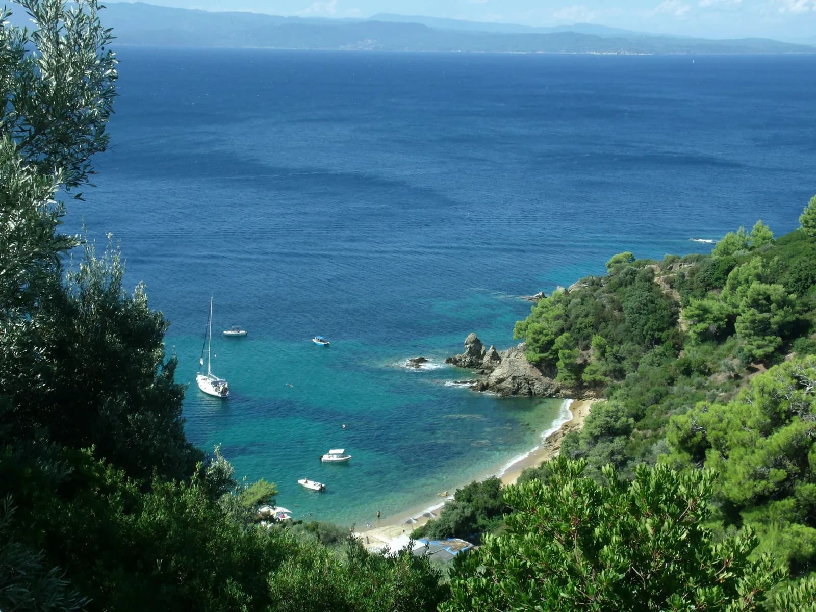 Une plage boisée et des voiliers à Skiathos